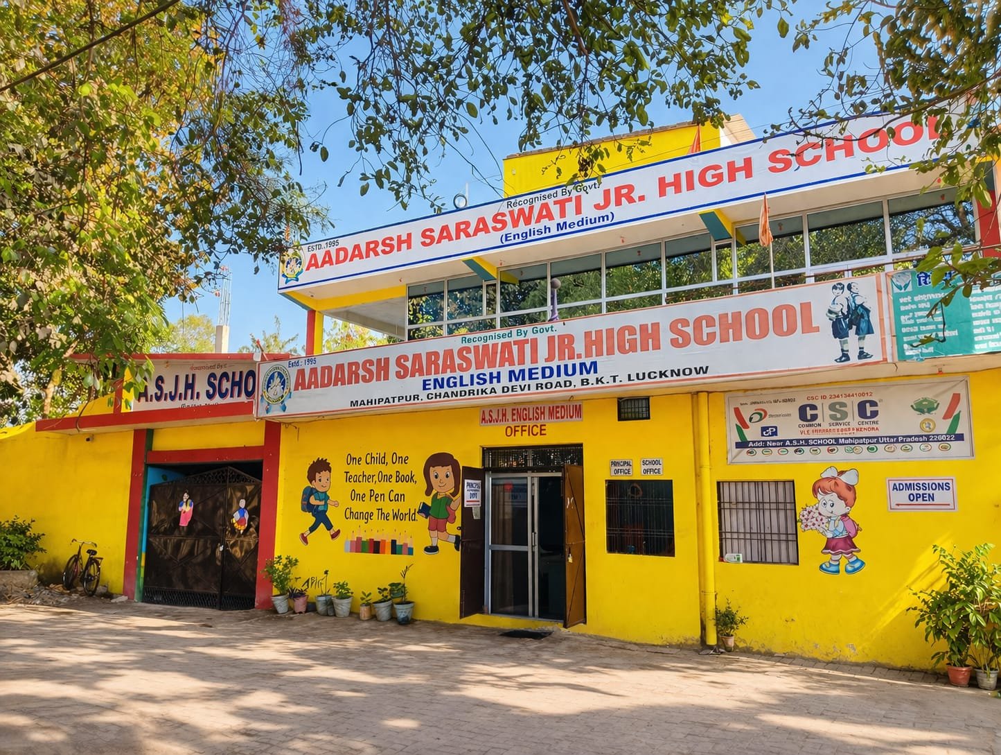 Experienced Faculty